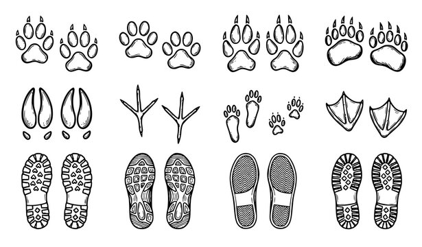 Animal Tracks and Human Shoe Prints Black and White Sketch Collection
