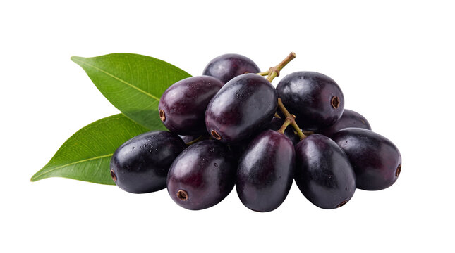 Jamun fruit cluster with green leaves, fresh java plum berries isolated on white, organic black plum for nutritional food design