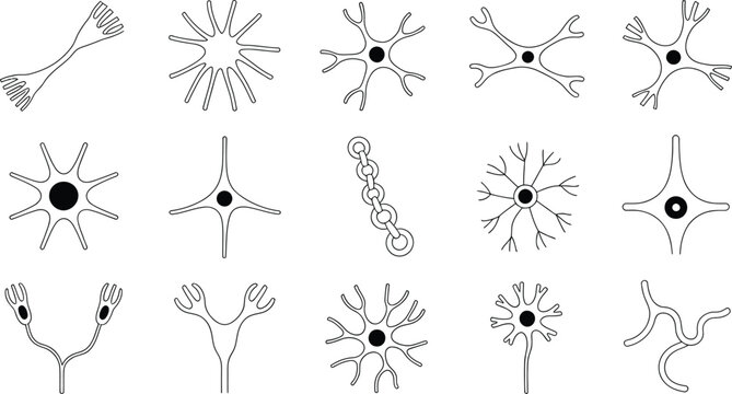 Collection of human neural cells and microscopic biological structures, depicting various types of neurons and other cells.