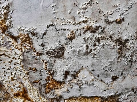 Deteriorating wall with cracked paint and brownish stains. Stains spread across a weathered surface. Textured surface shows signs of age and neglect. Ideal for architectural or decay themes