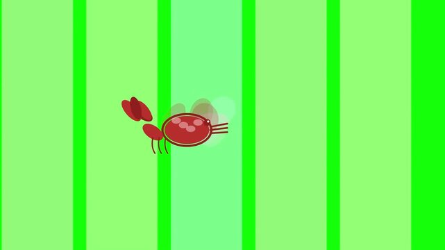 Flat Animated Flying Insect Ant Character Motion Graphic isolated on Green Screen Background