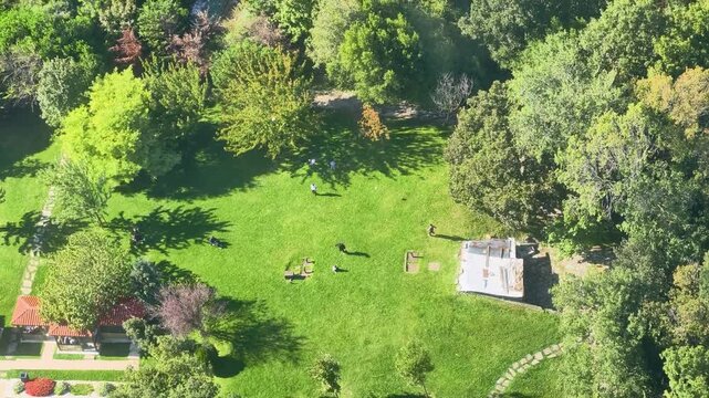 People walking and playing in a park with trees and grass on a sunny day in a casual outdoor setting