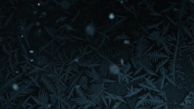 Intricate crystalline frost patterns forming on a cold glass surface