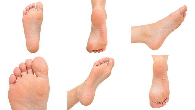 Multiple clean bare feet and soles photographed from various angles on a transparent background
