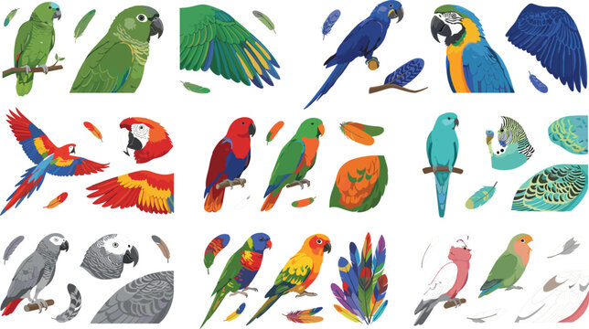 Colorful tropical parrots and exotic birds set featuring macaws amazons parakeets feathers and wildlife botanical elements vector illustration