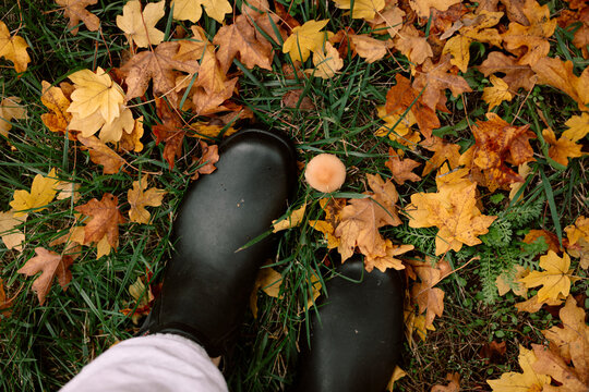 Black boot among fallen autumn leaves on grass