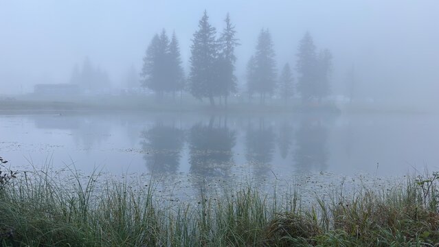 Foggy autumn lake with evergreen tree reflection