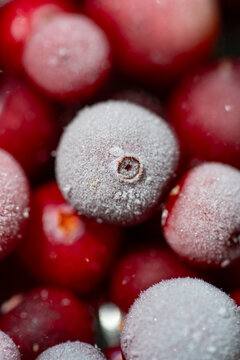 Frozen cranberry closeup with frosty texture and red berry