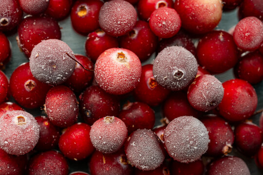 Frosted cranberry background with ripe red berry texture