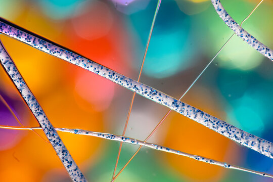 Colorful abstract microscopic fibers with vibrant background