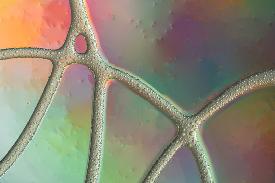 Abstract colorful water droplet texture background