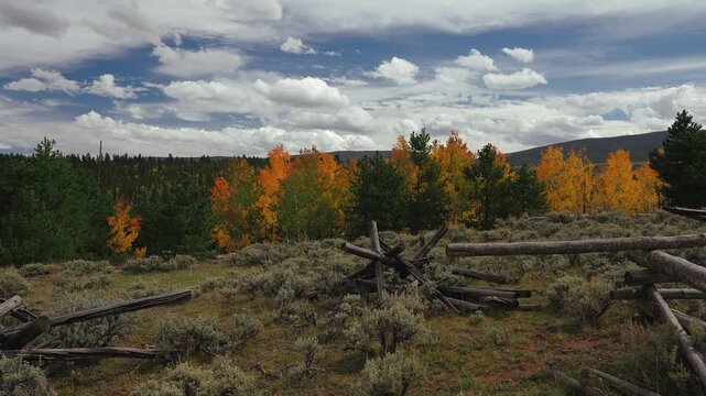 Autumn aspens and pines behind a log fence as clouds roll by, time lapse, Utah