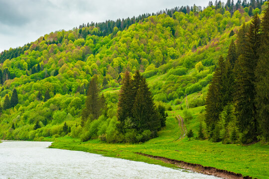 landscape with mountains, forest and a river in front. beautiful scenery in spring. cloudy sky
