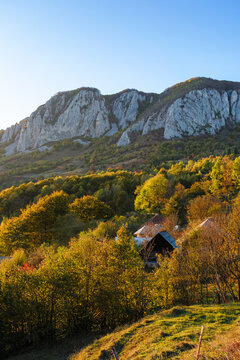 beautiful autumn afternoon in mountains. trees on the edge of Buces Vulcan mountain of Transylvania in fall colors. wonderful countryside of romania on a sunny weather in evening