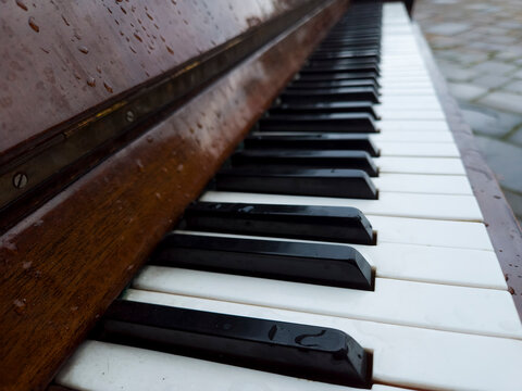 Piano keys outdoor street wet glossy wood black white keyboard music instrument perspective closeup rain city
