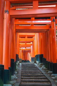Beautiful Red torii gates at the Fushimi-Inari shrine