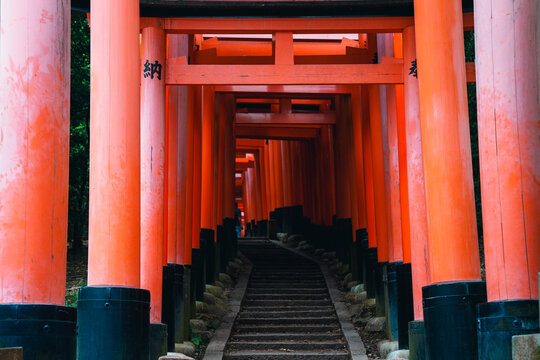 Beautiful Red torii gates at the Fushimi-Inari shrine