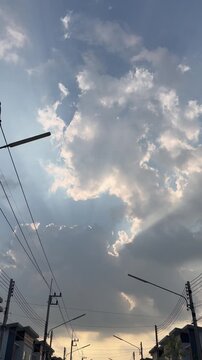 Vertical video of birds flying across the evening sky over a quiet village.