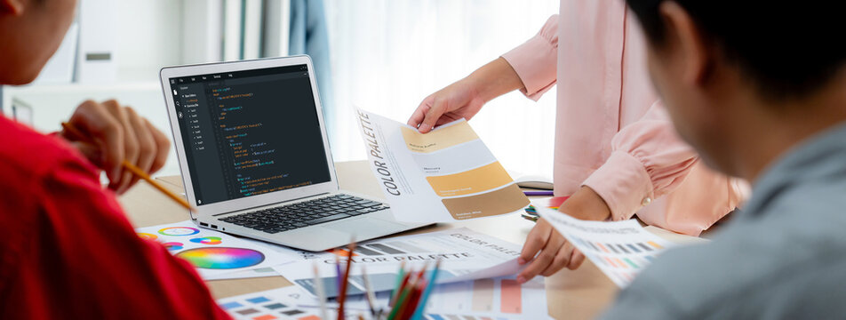 Software development programming on computer screen for brisk application and program coding