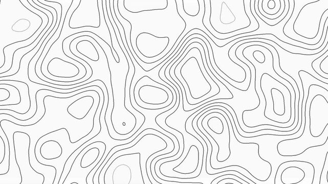Abstract topography animation pattern dynamic waves motion white background video. Abstract topography map lines pattern white modern abstract shape.