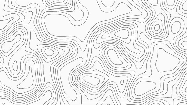 Abstract topography animation pattern dynamic waves motion white background video. Abstract topography map lines pattern white modern abstract shape.