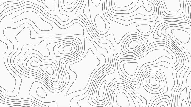 Abstract topography animation pattern dynamic waves motion white background video. Abstract topography map lines pattern white modern abstract shape.