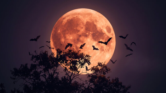 Spooky Halloween night scene with a huge orange harvest moon rising over a dark, silhouetted forest. Several silhouettes of bats are seen flying across the face of the full moon.