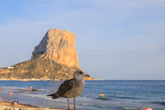 Benidorm