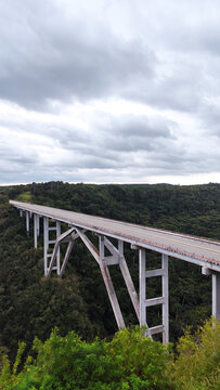 High arched concrete bridge spanning deep forested valley under overcast sky