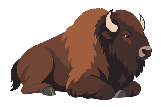 Resting bison with legs tucked beneath its shaggy brown body and pale curved horns shown in side view using a flat geometric style on transparent background