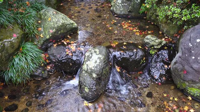 autumn garden with red leaves and stream.