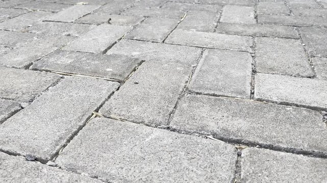 Old textured concrete paving blocks with sand and dry moss