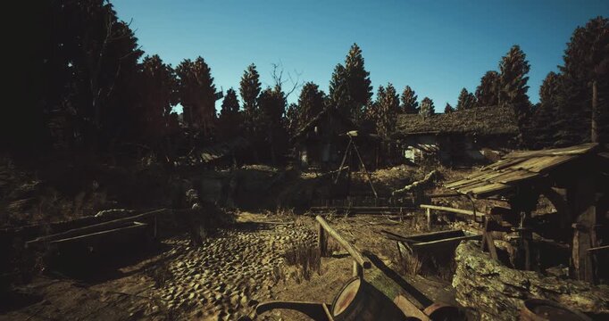 overgrown homestead ruins among pines, weathered wooden structure partially collapsed, tall grasses and saplings reclaiming foundation, dappled light filtering