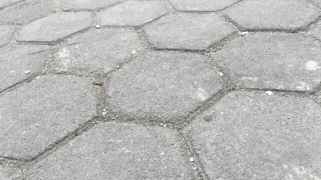 Hexagonal Paving Blocks Texture Close Up Video