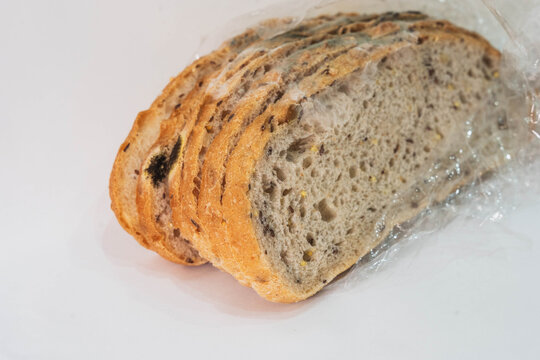 stale bread slices develop thick fungal contamination along crust and crumb, presenting spoiled bakery food inside open plastic packaging during natural process of organic decomposition.