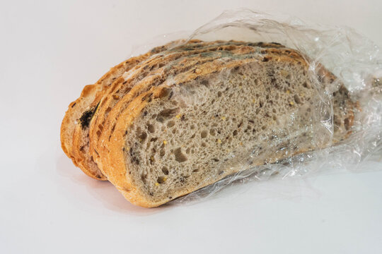 stale seeded bread slices decay inside crumpled plastic bag. moldy baked food shows dense mycelium growth across porous crumbs, illustrating ruined groceries and everyday edible spoilage plainly.