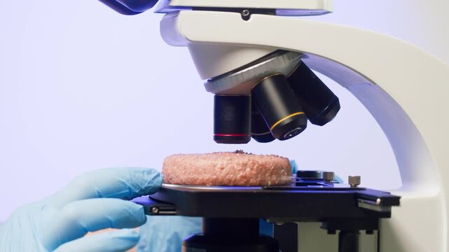 Medical scientist inspecting minced vegan meat, working in laboratory with artificial beef. Food research, genetic Modifications of Product. Microbiologist analyzing lab-grown pieces of meat.