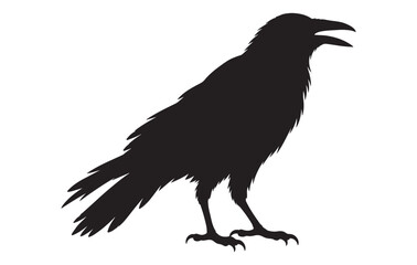 Fototapeta premium Striking black raven standing with its wings and feathers clearly defined..