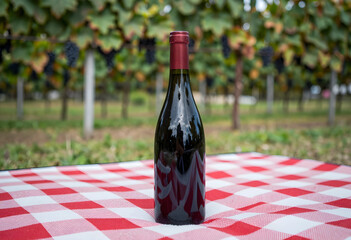 Fototapeta premium Wine tourism and viticulture, red wine bottle on a checkered picnic blanket in a vineyard for summer travel, leisure, and luxury lifestyle marketing