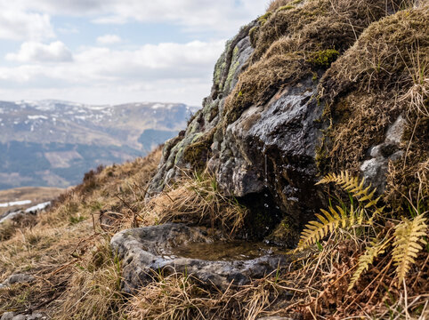 Mossy rock with a barely trickling mountain spring, shrinking water sources in highland ecosystems