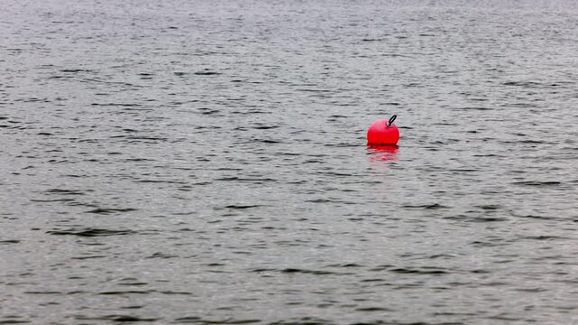 Red buoy on Lake Mondsee, Salzkammergut, Austria