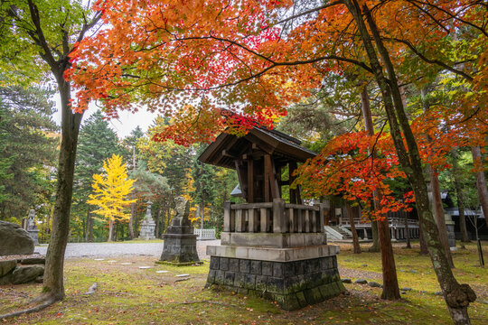 旭川市　上川神社の紅葉