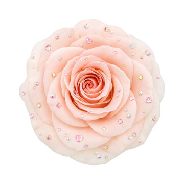 PNG Elegant pink rose adorned with sparkling gems