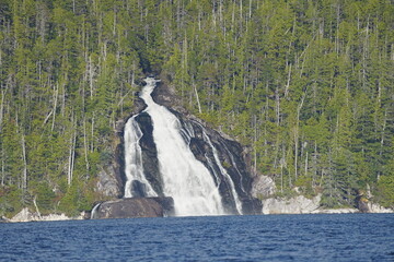 Waterfall cascading down rocky cliff surrounded by dense green evergreen forest © CaptureQueen