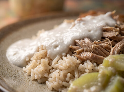 Close up of Nasi Liwet Solo, savory coconut rice with shredded chicken and coconut cream