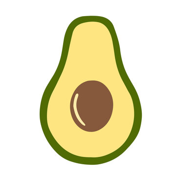 illustration of avocado