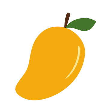 mango illustration