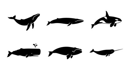 Whale silhouettes set with humpback, blue, orca, sperm, right, and narwhal for ocean life logo © Mahir