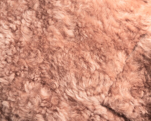 High angle view of leather animal with soft fur texture on rose pink gradient background. Copy space for text, logo, branding etc.,  © IKT224