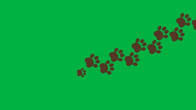 Dark brown animal paw prints appearing one by one along a curved walking path across the frame on a green screen
